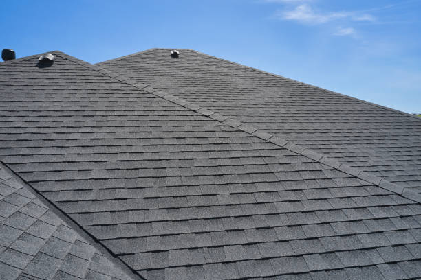 Best Roof Coating and Sealing  in Hopkinsville, KY